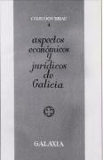 Ensaio económico-xurídico