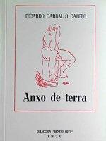 anxo_de_terra.jpg