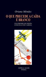 o-que-precede-c3a1-cac3adda-c3a9-branco-oriana-mc3a9ndez1.jpg